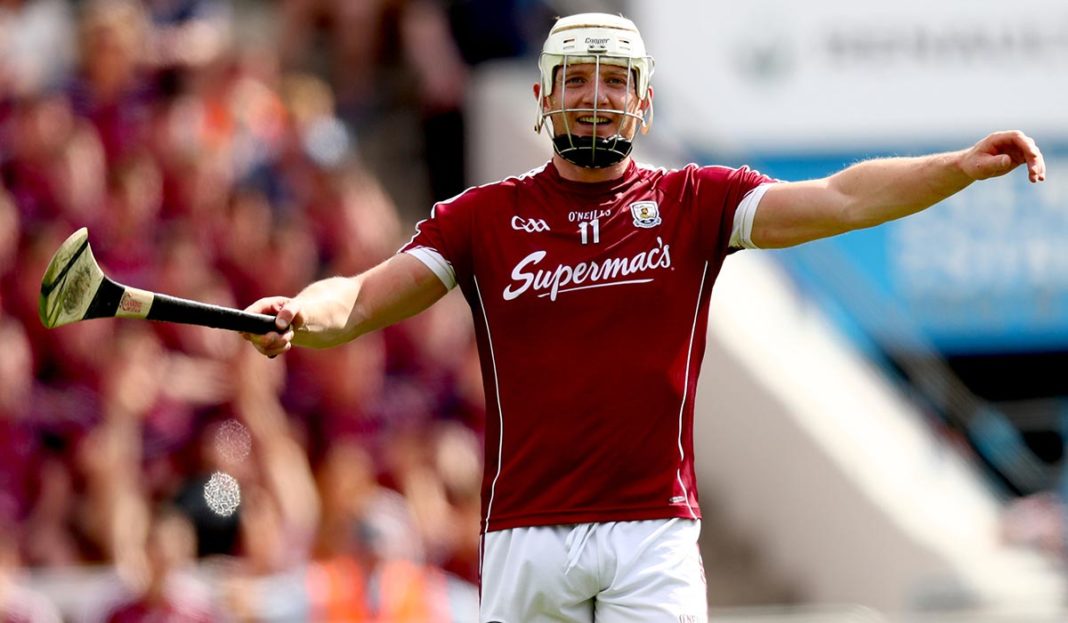 Hurling Sticks