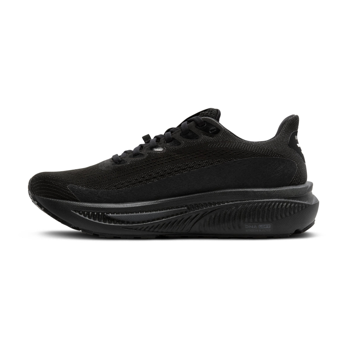 Brooks Ghost 17 GTX ( 1D 020 ) Regular Width
