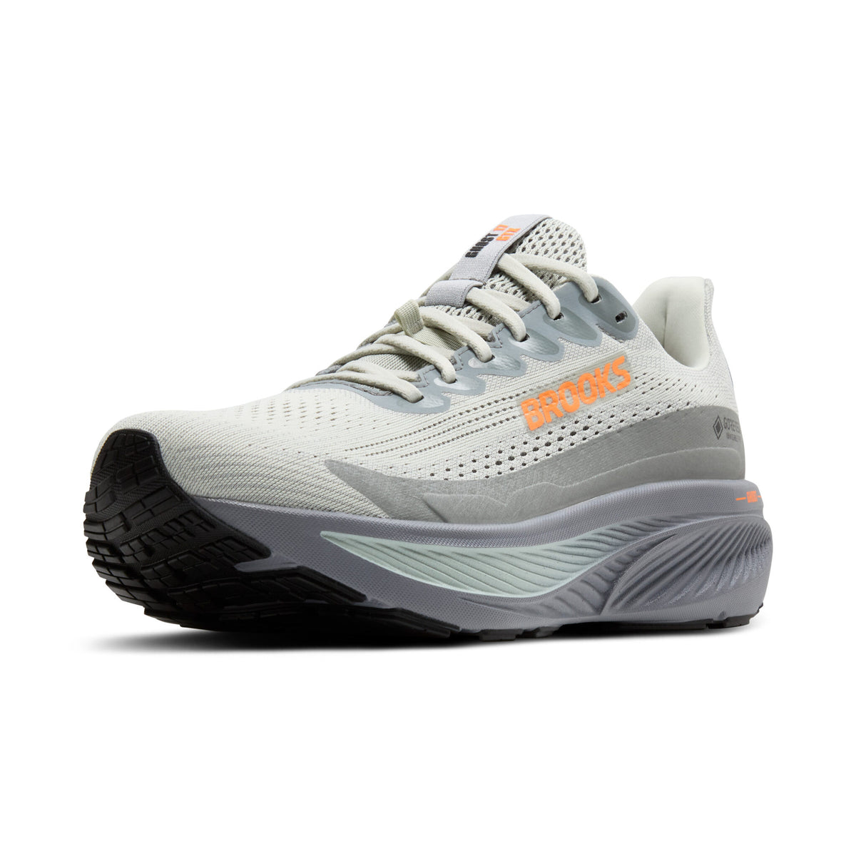 Brooks Ghost 17 GTX ( 1D 022 ) Regular Width