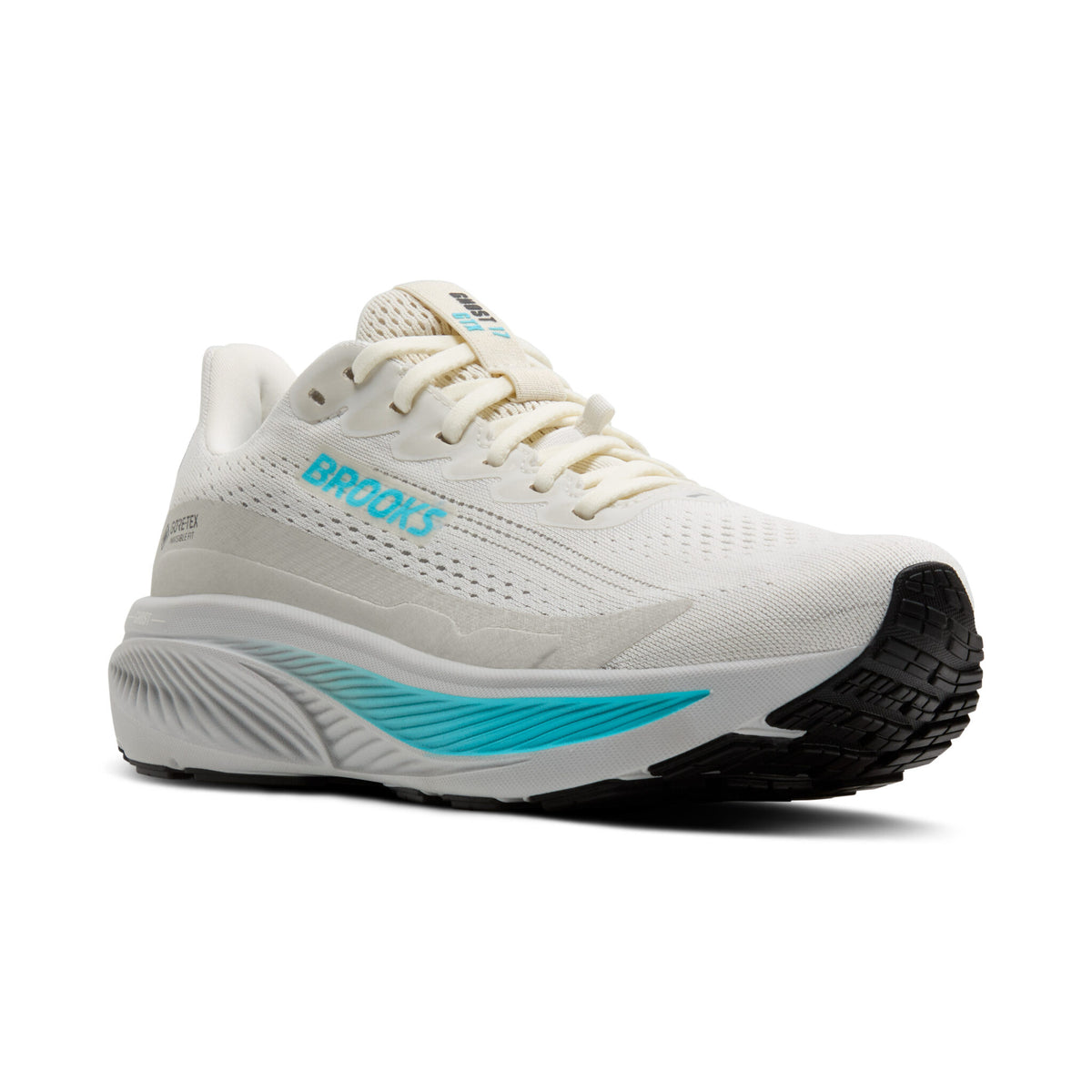 Brooks Ghost 17 GTX ( 1B 138 ) Regular Width