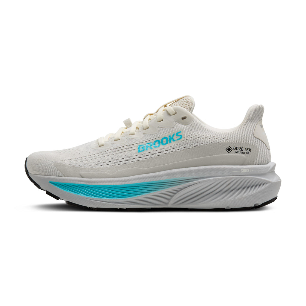 Brooks Ghost 17 GTX ( 1B 138 ) Regular Width
