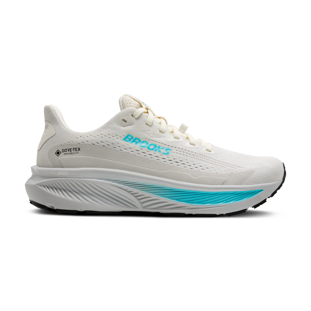 Brooks Ghost 17 GTX ( 1B 138 ) Regular Width