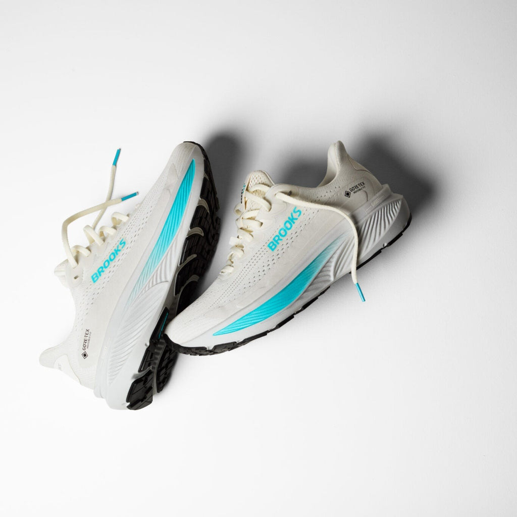 Brooks Ghost 17 GTX ( 1B 138 ) Regular Width