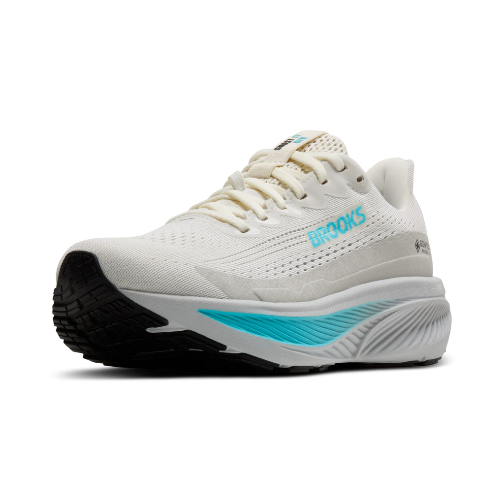 Brooks Ghost 17 GTX ( 1B 138 ) Regular Width