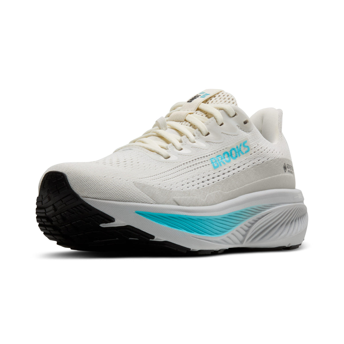 Brooks Ghost 17 GTX ( 1B 138 ) Regular Width