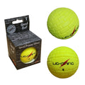 LS Brick Speed Sliotar ( Junior )