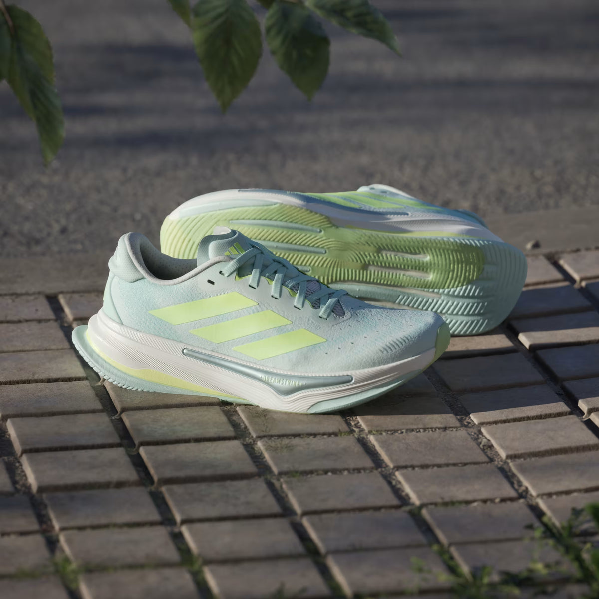 Adidas Supernova Prima 2 ( Ladies )