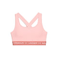 UA Sports Bra