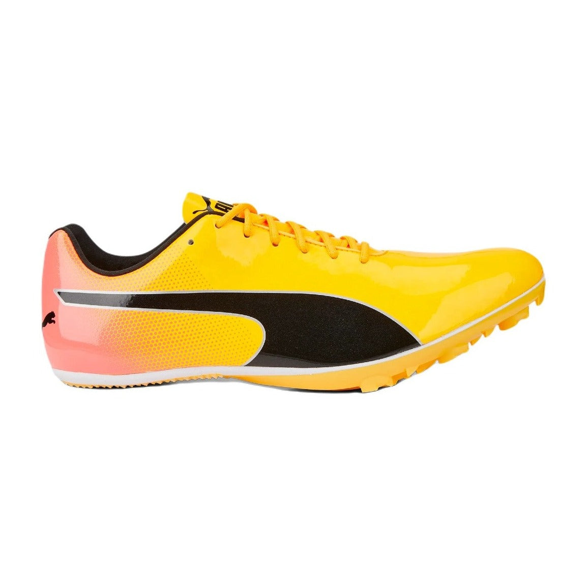 EvoSpeed Sprint ( Yellow/Pink )