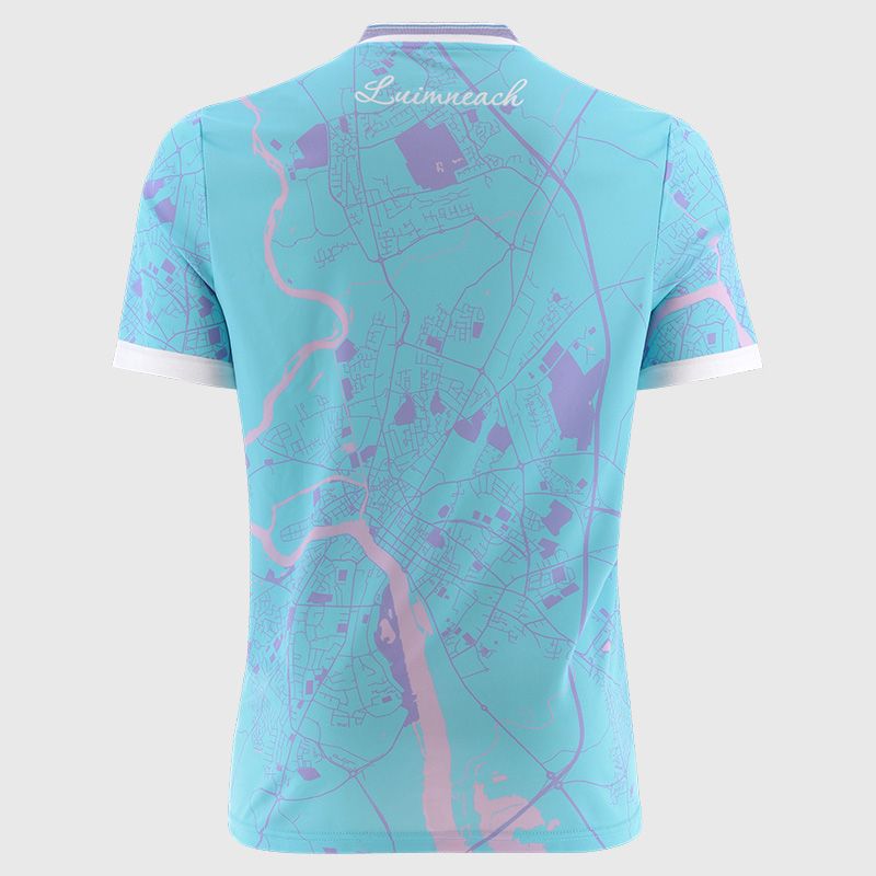 Limerick Home GK Jersey ( Sky/White )