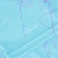Limerick Home GK Jersey ( Sky/White )