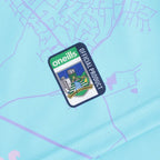 Limerick Home GK Jersey ( Sky/White )