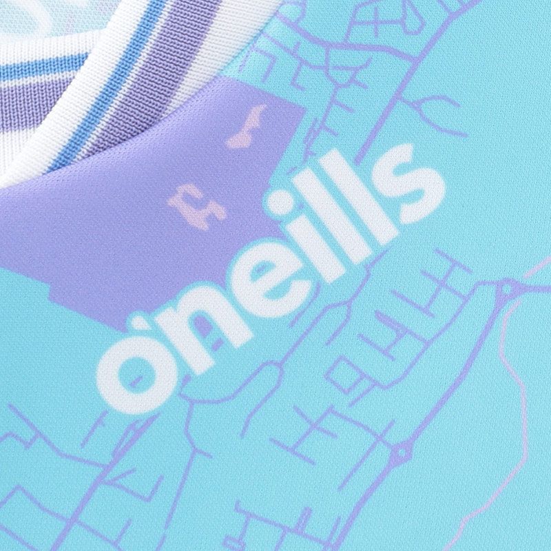 Limerick Home GK Jersey ( Sky/White )