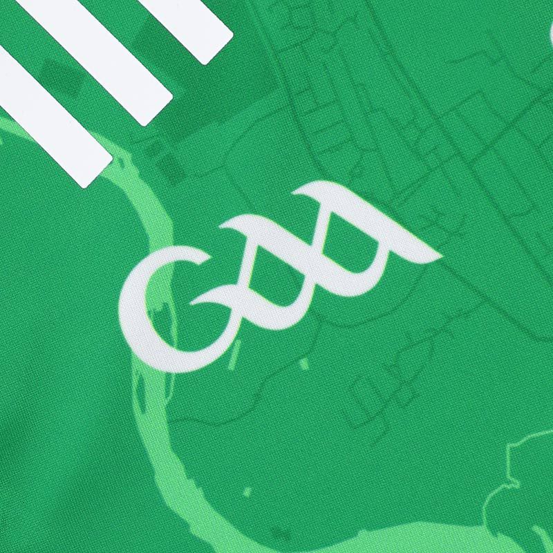 Limerick Home Jersey ( Green/White )