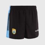 2025 Kerry GAA GK Shorts