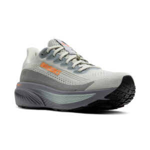 Brooks Ghost 17 GTX ( 1D 022 ) Regular Width